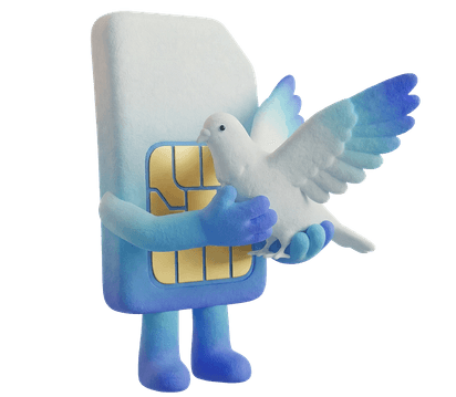 About eSIM