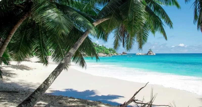 🌴 Best Beaches in the World 2026