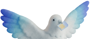 Pigeon